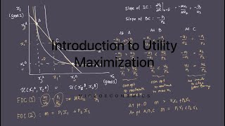 Introduction to the Utility Maximization Process [upl. by Yrolam697]