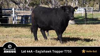 Lot 44A Eaglehawk Trapper T755 [upl. by Hart]