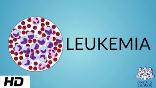 LEUKEMIA Causes Signs and Symptoms Diagnosis and Treatment [upl. by Acinorev]