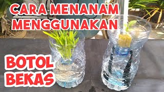 CARA MEMANFAATKAN BOTOL BEKAS UNTUK MENANAM SECARA HIDROPONIK  Tips 3 [upl. by Donnell814]