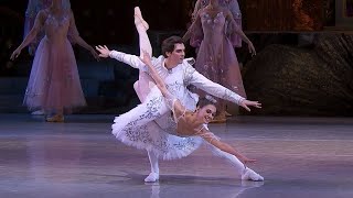 Grand Pas de Deux  Adagio  NUTCRACKER Tchaikovsky  National Opera of Ukraine [upl. by Arual]