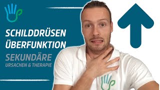 Schilddrüsenüberfunktion heilen  Ursache Symptome Therapie amp Ernährung [upl. by Barimah]