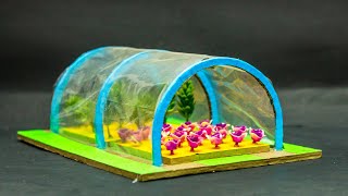 Science Projects  High Tunnel Greenhouse [upl. by Delija]