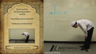 How to Pray  Zuhr Noon Pray  Fardh [upl. by Elades]