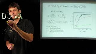 Topic 613  Hemoglobin and the Hill plot [upl. by Dareen]