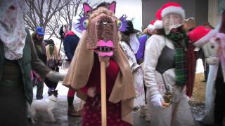 The Mummers Parade  St Johns Newfoundland and Labrador [upl. by Erdnael]