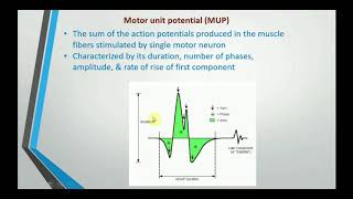 Electromyography EMG [upl. by Elstan]