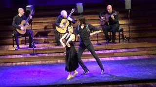 Flamenco at Palau de la Musica Catalana Barcelona 2017 [upl. by Wilona]