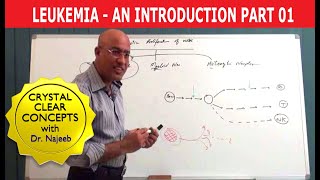 Leukemia  Causes and Symptoms  Part 13 [upl. by Ecidnarb]