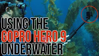 Using the Hero 9 Underwater [upl. by Lewse301]