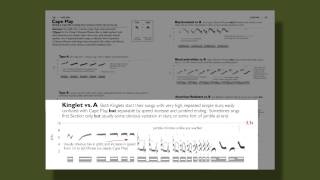 The Warbler Guide  Vocalizations [upl. by Razaile575]