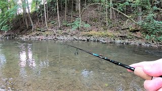 TROUT Fishing TIPS  Trout Fishing with Spinners in Creeks amp Streams [upl. by Wadlinger717]