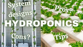 What Is Hydroponics And How Does It Work [upl. by Eedissac908]