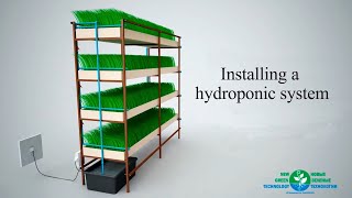 Installing The Hydroponic System [upl. by Itsym]