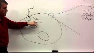 Membrane Potentials for beginners [upl. by Arun]