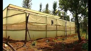 Low cost greenhouse farming [upl. by Millhon]