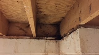 Basement Water Leaks Can Come From Above – Home Repair Advice [upl. by Sset]