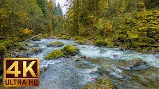 Beautiful Nature Video in 4K Ultra HD  Autumn River Sounds  5 Hours Long [upl. by Okiram]