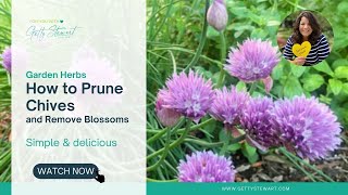 How to Prune Chives  Removing the Blossoms [upl. by Burl]