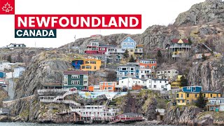 Canada Road Trip Best Things To Do In Newfoundland [upl. by Goth382]