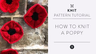 Easy Knit Poppy Pattern with Marly Bird  Beginner Tutorial [upl. by Annaitsirk]