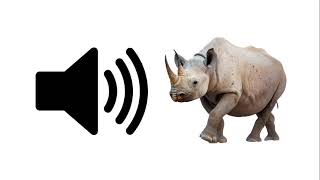 Rhino  Sound Effect  ProSounds [upl. by Nosirrah]