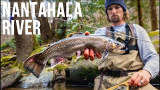 Fly Fishing NC’s BEST Trout Stream  The Nantahala River [upl. by Elam765]