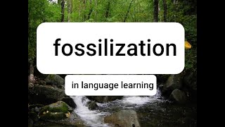 Fossilization in language learning [upl. by Hedvig]