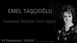 Emel Taşçıoğlu  Hastane Önünde İncir Ağacı [upl. by Donnell480]