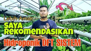 Review Hidroponik Sistem DFT [upl. by Croix888]