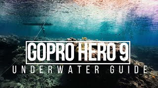 GOPRO HERO 9 UNDERWATER Settings and Tips 2022 [upl. by Anitroc]