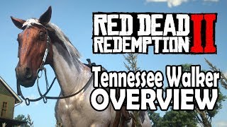 Red Dead Redemption 2 Horses  Tennessee Walker Overview [upl. by Ileray256]