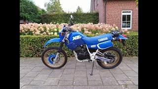 Complete Restoration Yamaha XT 600 1987 [upl. by Elacsap]