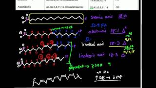 Unsaturated Fatty Acids Part 2 Nomenclature and Properties [upl. by Sadnak]