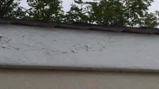 Repair Peeling Paint on Fascia  GREAT tips [upl. by Orban]