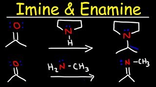 Imine and Enamine Formation Reactions With Reductive Amination [upl. by Odie]