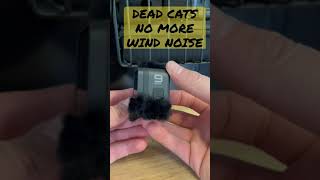 GoPro Dead Cats  Wind Noise Reduction [upl. by Nanaj]