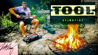 TOOL Stinkfist Acoustic Cover [upl. by Noseyt]