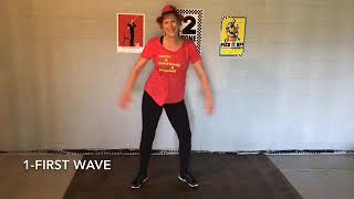 14 Ska Dancing Variations Ska Dance Workout Ska Choreographer [upl. by Acinorej]