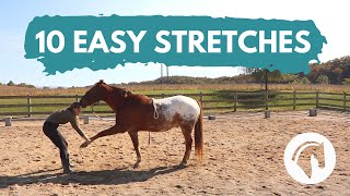 HOW TO STRETCH A HORSE 10 Easy Horse Stretches [upl. by Amuwkuhc]