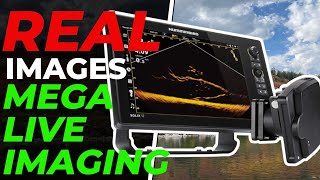 REAL Images of Humminbird Mega Live Imaging  Better than Lowrance Active Target [upl. by Lilac]