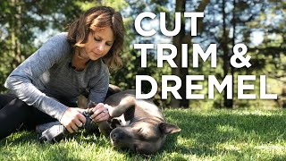 How To Correctly Cut Trim amp Dremel Your Dogs Nails [upl. by Hsirk900]