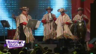 Reventón Musical Guacharacos de Colombia quotCumbia de los Kissquot [upl. by Nuhsar]