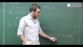 Les polynômes Cours maths sup BCPST prépa HEC [upl. by Bridget275]