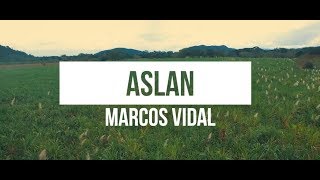 Marcos Vidal  Aslan Video Lyrics Oficial [upl. by Remlap]