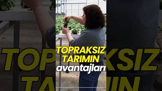 Topraksız tarım nedir Avantajları nelerdir 👈 [upl. by Riba]