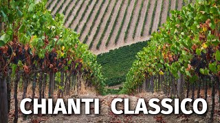 Great Italian Wines CHIANTI CLASSICO [upl. by Richer320]