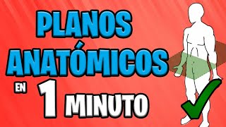 ✅ PLANOS ANATÓMICOS en 1 MINUTO 😱 [upl. by Brottman]