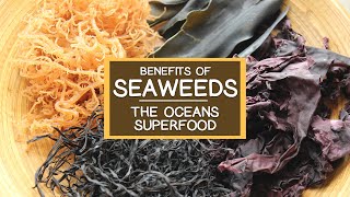 The Nutritional Benefits of Seaweed The Oceans Superfood [upl. by Aneeuqahs]