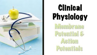 Membrane Potential amp Action Potentials [upl. by Nylyram13]